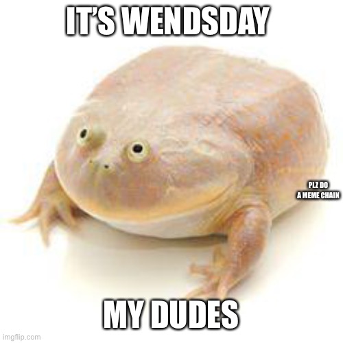 Wednesday Frog Blank | IT’S WENDSDAY MY DUDES PLZ DO A MEME CHAIN | image tagged in wednesday frog blank | made w/ Imgflip meme maker