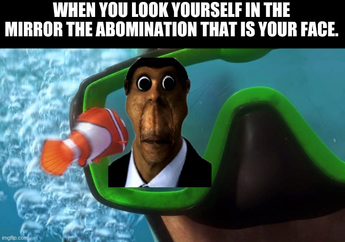 AHHHHHHH!!!!!!!!!!!!!!!!!!! DADDY HELP ME!!!!!!!!!!!!!!!! | WHEN YOU LOOK YOURSELF IN THE MIRROR THE ABOMINATION THAT IS YOUR FACE. | image tagged in nemo screaming | made w/ Imgflip meme maker