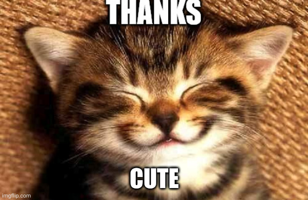 thanks | CUTE | image tagged in thanks | made w/ Imgflip meme maker