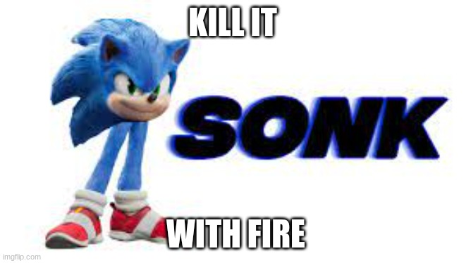 Sonk | KILL IT; WITH FIRE | image tagged in funny | made w/ Imgflip meme maker