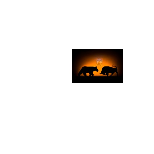 Scared Bears and Bulls | image tagged in memes,blank transparent square | made w/ Imgflip meme maker