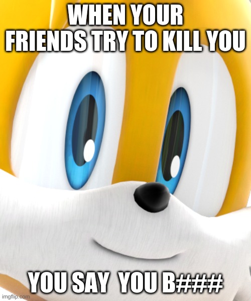 the fox is watching you!! | WHEN YOUR FRIENDS TRY TO KILL YOU; YOU SAY  YOU B### | image tagged in the fox is watching you | made w/ Imgflip meme maker