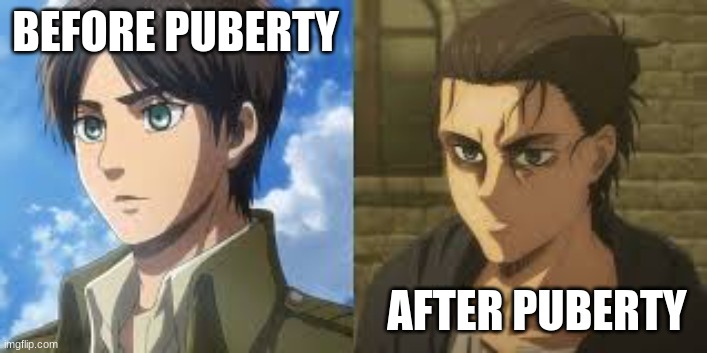 What happened | BEFORE PUBERTY; AFTER PUBERTY | image tagged in boom | made w/ Imgflip meme maker