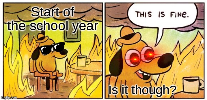 This Is Fine Meme | Start of the school year; Is it though? | image tagged in memes,this is fine | made w/ Imgflip meme maker