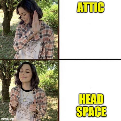 e | ATTIC; HEAD SPACE | image tagged in hotline bling birtch editon | made w/ Imgflip meme maker