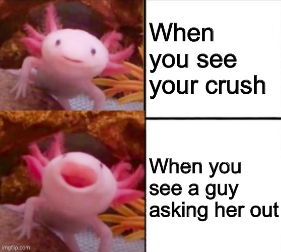 axolotl drake | When you see your crush; When you see a guy asking her out | image tagged in axolotl drake | made w/ Imgflip meme maker