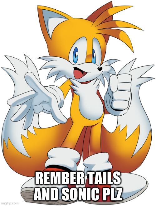 rember tails and sonic | REMBER TAILS AND SONIC PLZ | image tagged in tails cartoon | made w/ Imgflip meme maker