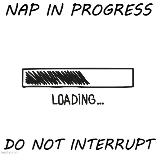 Nap Loading |  NAP IN PROGRESS; DO NOT INTERRUPT | image tagged in scribbled loading bar,loading,downloading,progress,status bar | made w/ Imgflip meme maker