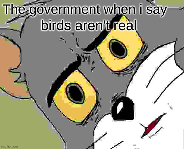 REALITY IS A ILLUSION. THE UNIVERSE IS A HOLOGRAM BUY GOLD BYE | The government when i say; birds aren't real | image tagged in memes,unsettled tom | made w/ Imgflip meme maker