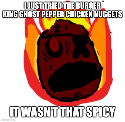 Angy man burns alive | I JUST TRIED THE BURGER KING GHOST PEPPER CHICKEN NUGGETS; IT WASN’T THAT SPICY | image tagged in angy man burns alive | made w/ Imgflip meme maker