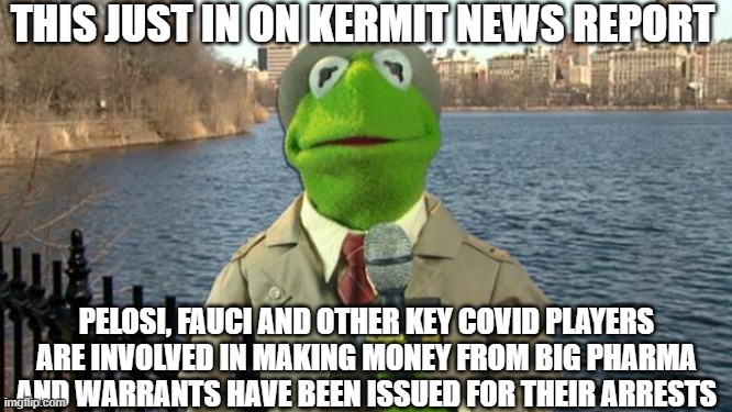 KNR (Kermit News Report) | THIS JUST IN ON KERMIT NEWS REPORT; PELOSI, FAUCI AND OTHER KEY COVID PLAYERS ARE INVOLVED IN MAKING MONEY FROM BIG PHARMA AND WARRANTS HAVE BEEN ISSUED FOR THEIR ARRESTS | image tagged in kermit news report,fake news,funny meme,congress,doctors,money | made w/ Imgflip meme maker