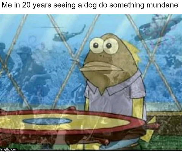 It's just a burning memory | Me in 20 years seeing a dog do something mundane | image tagged in flashbacks | made w/ Imgflip meme maker