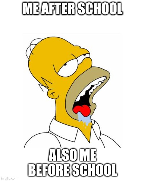 Homer Simpson Drooling | ME AFTER SCHOOL; ALSO ME BEFORE SCHOOL | image tagged in homer simpson drooling | made w/ Imgflip meme maker
