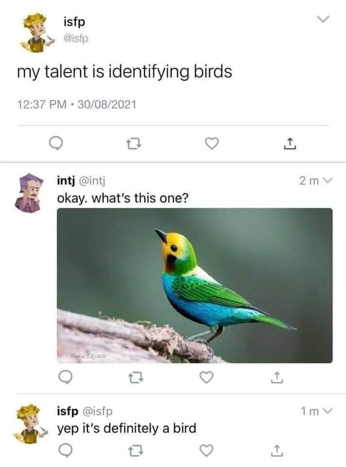 High Quality My talent is identifying birds Blank Meme Template
