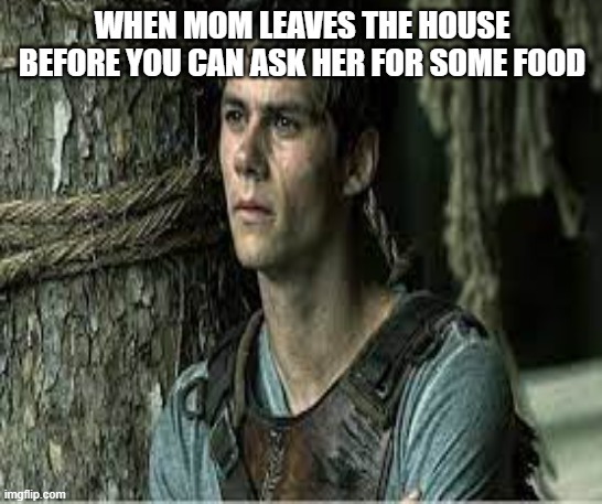 yea soo | WHEN MOM LEAVES THE HOUSE BEFORE YOU CAN ASK HER FOR SOME FOOD | image tagged in mom | made w/ Imgflip meme maker