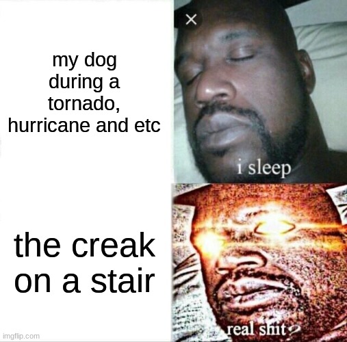 Sleeping Shaq | my dog during a tornado, hurricane and etc; the creak on a stair | image tagged in memes,sleeping shaq | made w/ Imgflip meme maker