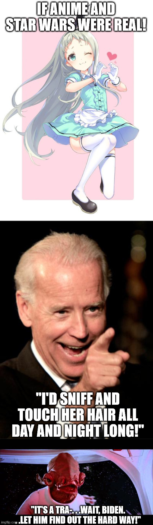 It's stupid I know. | IF ANIME AND STAR WARS WERE REAL! "I'D SNIFF AND TOUCH HER HAIR ALL DAY AND NIGHT LONG!"; "IT'S A TRA-. . .WAIT, BIDEN. . .LET HIM FIND OUT THE HARD WAY!" | image tagged in memes,smilin biden,it's a trap,political meme,humor | made w/ Imgflip meme maker