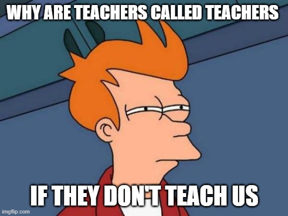 just for Entertainment | WHY ARE TEACHERS CALLED TEACHERS; IF THEY DON'T TEACH US | image tagged in memes,futurama fry | made w/ Imgflip meme maker