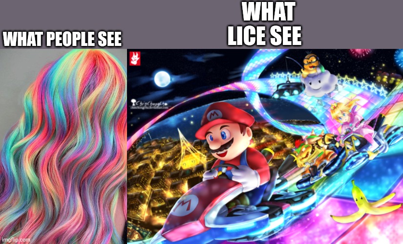 WHAT LICE SEE; WHAT PEOPLE SEE | made w/ Imgflip meme maker