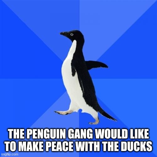 Socially Awkward Penguin Meme | THE PENGUIN GANG WOULD LIKE TO MAKE PEACE WITH THE DUCKS | image tagged in memes,socially awkward penguin | made w/ Imgflip meme maker