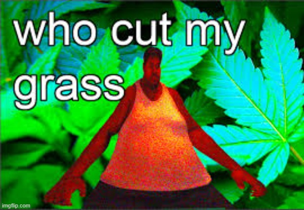 Witch one of you piss ants did it? | made w/ Imgflip meme maker