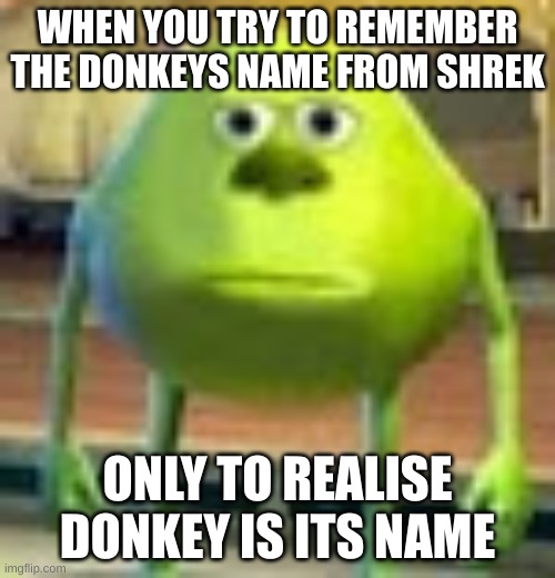 Day 9 without a title | WHEN YOU TRY TO REMEMBER THE DONKEYS NAME FROM SHREK; ONLY TO REALISE DONKEY IS ITS NAME | image tagged in sully wazowski | made w/ Imgflip meme maker