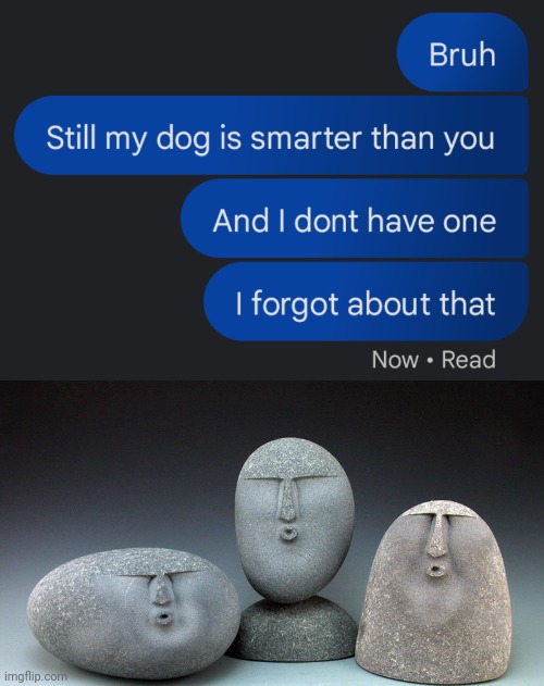 Notitle | image tagged in oof stones,roasted,text messages,friendship ended | made w/ Imgflip meme maker
