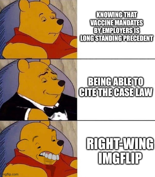 Tuxedo winnie the pooh derpy | KNOWING THAT VACCINE MANDATES BY EMPLOYERS IS LONG STANDING PRECEDENT; BEING ABLE TO CITE THE CASE LAW; RIGHT-WING IMGFLIP | image tagged in tuxedo winnie the pooh derpy | made w/ Imgflip meme maker