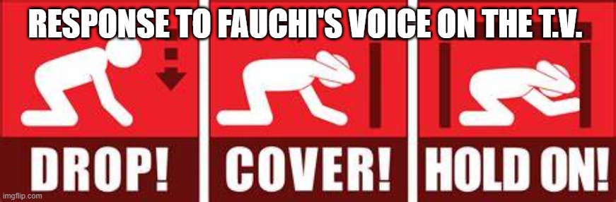 Fauchi Response Syndrome | RESPONSE TO FAUCHI'S VOICE ON THE T.V. | image tagged in covid-19,anthony fauchi,covid vaccine | made w/ Imgflip meme maker
