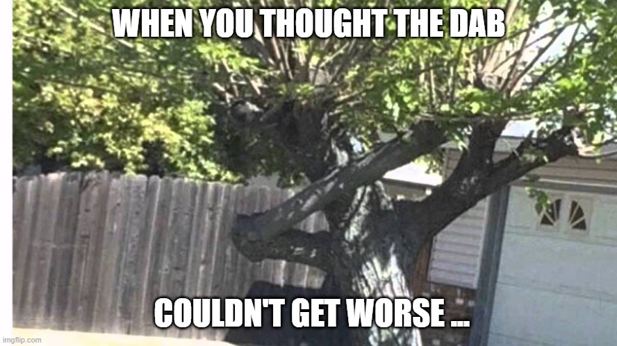 Dabbing Tree | WHEN YOU THOUGHT THE DAB; COULDN'T GET WORSE ... | image tagged in dab | made w/ Imgflip meme maker