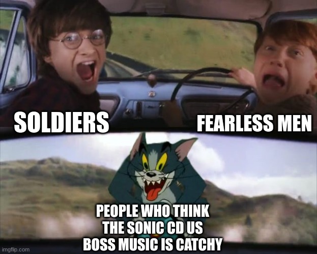 Tom chasing Harry and Ron Weasly |  FEARLESS MEN; SOLDIERS; PEOPLE WHO THINK THE SONIC CD US BOSS MUSIC IS CATCHY | image tagged in tom chasing harry and ron weasly,sonic,tom and jerry,harry potter | made w/ Imgflip meme maker