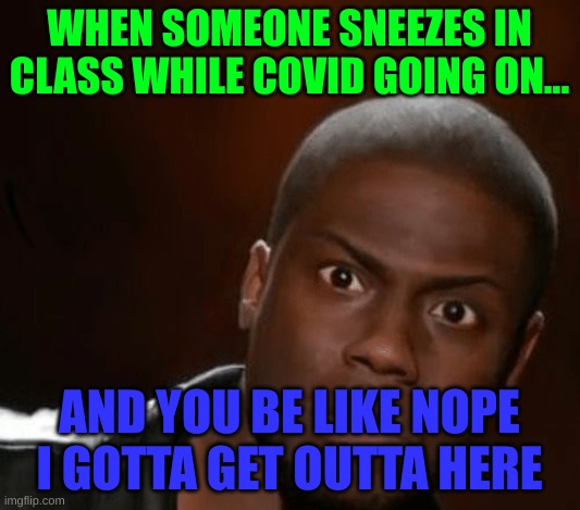 Really | WHEN SOMEONE SNEEZES IN CLASS WHILE COVID GOING ON... AND YOU BE LIKE NOPE I GOTTA GET OUTTA HERE | image tagged in really | made w/ Imgflip meme maker