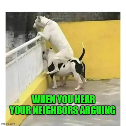 WHEN YOU HEAR YOUR NEIGHBORS ARGUING | made w/ Imgflip meme maker