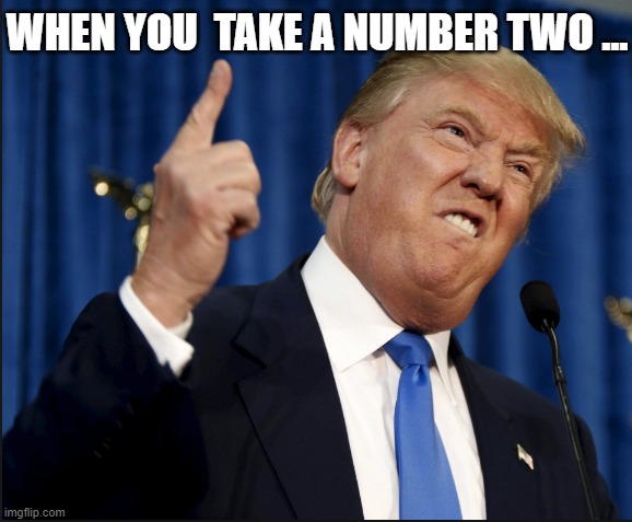 when u take a number 2 | WHEN YOU  TAKE A NUMBER TWO ... | image tagged in donald trump,funny memes,memes,meme,funny meme | made w/ Imgflip meme maker