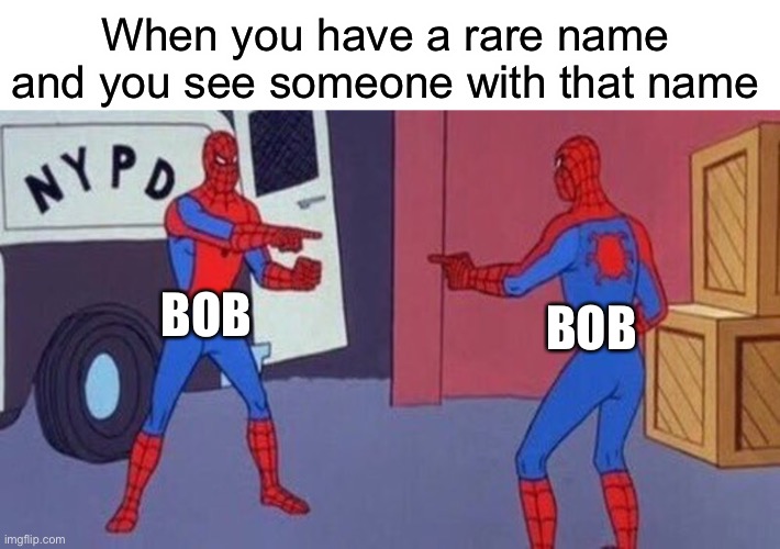 Rare names be like | When you have a rare name and you see someone with that name; BOB; BOB | image tagged in spiderman pointing at spiderman,lol,funny,memes,upvote begging,fun | made w/ Imgflip meme maker