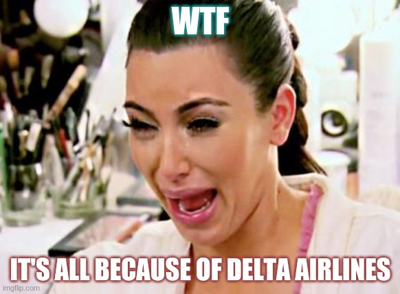Kim Kardashian | WTF; IT'S ALL BECAUSE OF DELTA AIRLINES | image tagged in kim kardashian | made w/ Imgflip meme maker
