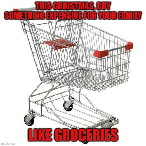 shopping cart | THIS CHRISTMAS, BUY SOMETHING EXPENSIVE FOR YOUR FAMILY; LIKE GROCERIES | image tagged in shopping cart | made w/ Imgflip meme maker