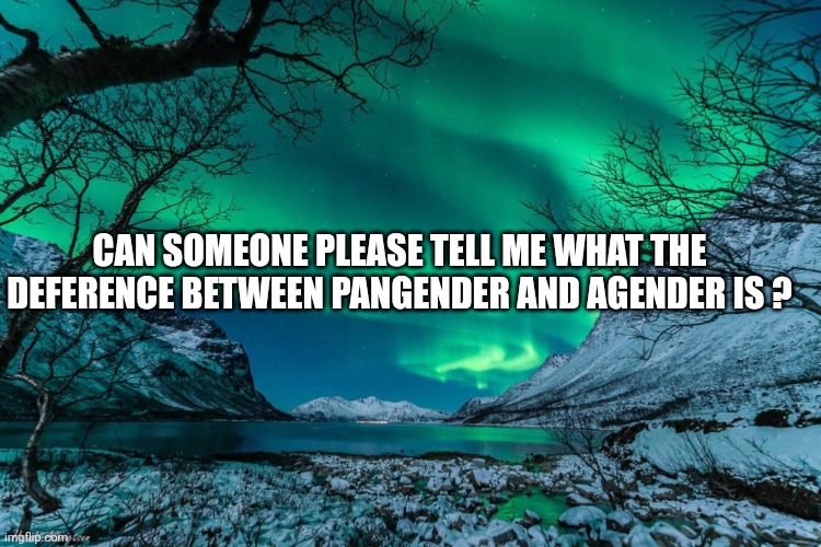 Weeeeee I have no idea | CAN SOMEONE PLEASE TELL ME WHAT THE DEFERENCE BETWEEN PANGENDER AND AGENDER IS ? | image tagged in northern lights announcement | made w/ Imgflip meme maker