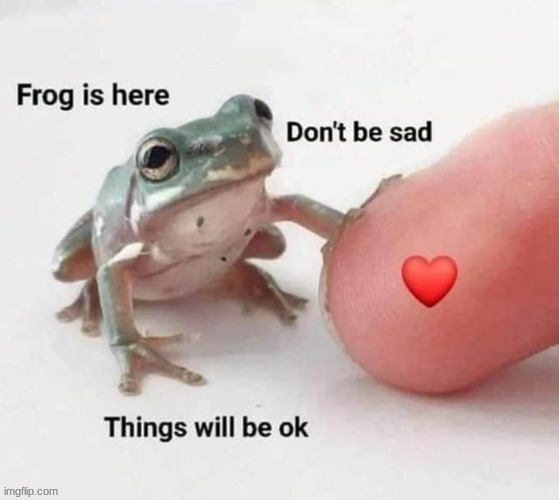 frog is here dont be sad | image tagged in frog is here dont be sad | made w/ Imgflip meme maker