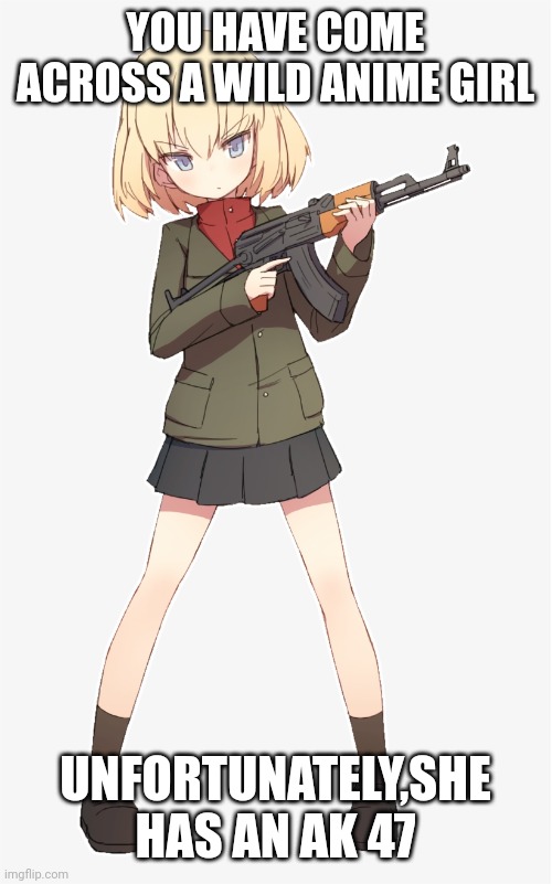 Wild anime girl | YOU HAVE COME ACROSS A WILD ANIME GIRL; UNFORTUNATELY,SHE HAS AN AK 47 | image tagged in ak-47 anime girl,ak47 | made w/ Imgflip meme maker