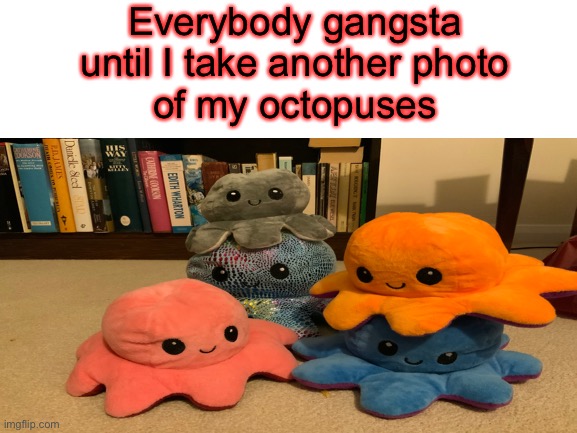 Today I’m in a Good mood | Everybody gangsta
until I take another photo
of my octopuses | image tagged in octopus,mood | made w/ Imgflip meme maker