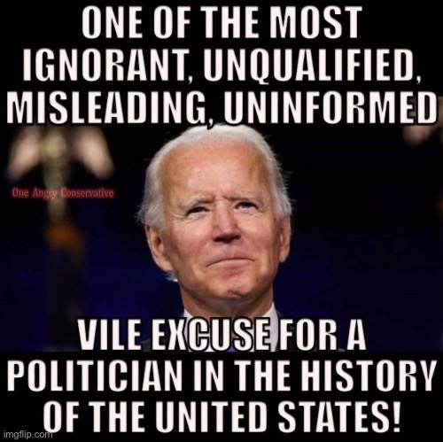 And if you voted for him, f you! | image tagged in joe biden,liberals,liberal logic,memes | made w/ Imgflip meme maker