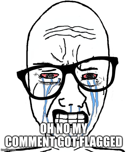 Wojak Crying | OH NO MY COMMENT GOT FLAGGED | image tagged in wojak crying | made w/ Imgflip meme maker