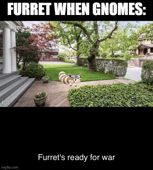 Furrets ready for war | FURRET WHEN GNOMES: | image tagged in furrets ready for war | made w/ Imgflip meme maker