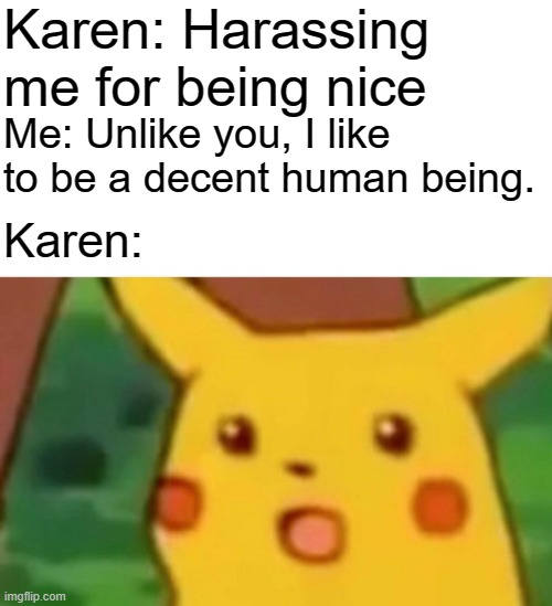 Surprised Pikachu Meme | Karen: Harassing me for being nice; Me: Unlike you, I like to be a decent human being. Karen: | image tagged in memes,surprised pikachu | made w/ Imgflip meme maker