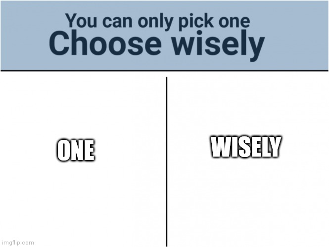 you can pick only one choose wisely | ONE; WISELY | image tagged in you can pick only one choose wisely | made w/ Imgflip meme maker