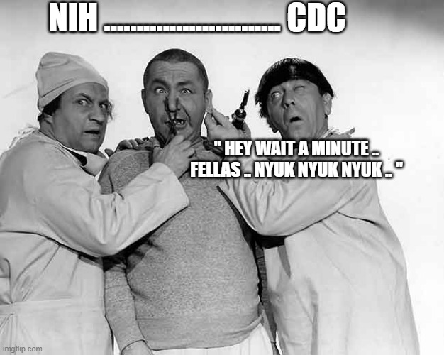 NIH CDC | NIH ........................... CDC; " HEY WAIT A MINUTE .. FELLAS .. NYUK NYUK NYUK .. " | image tagged in funny | made w/ Imgflip meme maker