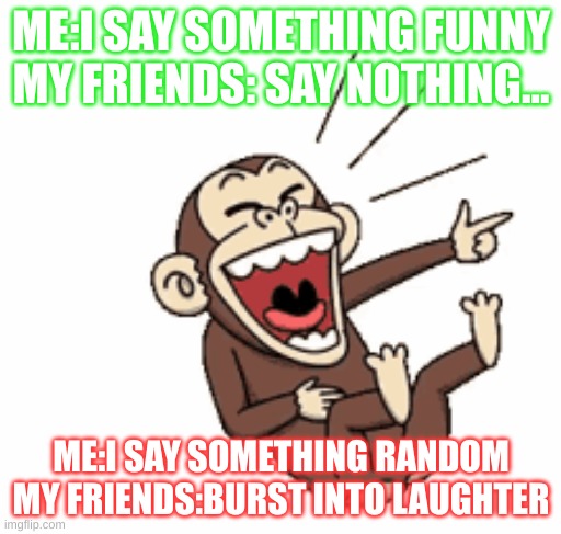 Weird Meme | ME:I SAY SOMETHING FUNNY
MY FRIENDS: SAY NOTHING... ME:I SAY SOMETHING RANDOM
MY FRIENDS:BURST INTO LAUGHTER | image tagged in funny animals,monkey,friends | made w/ Imgflip meme maker