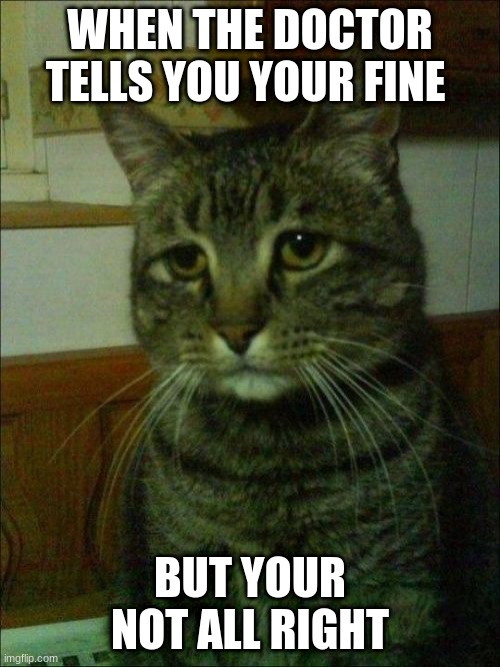 Depressed Cat Meme | WHEN THE DOCTOR TELLS YOU YOUR FINE; BUT YOUR NOT ALL RIGHT | image tagged in memes,depressed cat | made w/ Imgflip meme maker