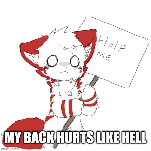 Reeeee | MY BACK HURTS LIKE HELL | image tagged in help | made w/ Imgflip meme maker